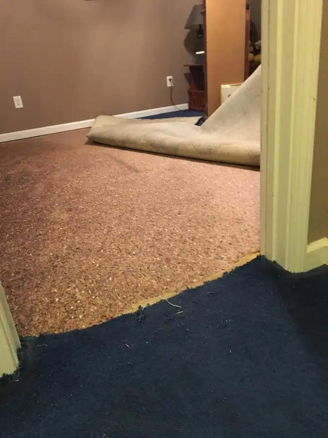 Carpet pad removal revealing water damage during Water Mitigation Services in Homosassa Springs