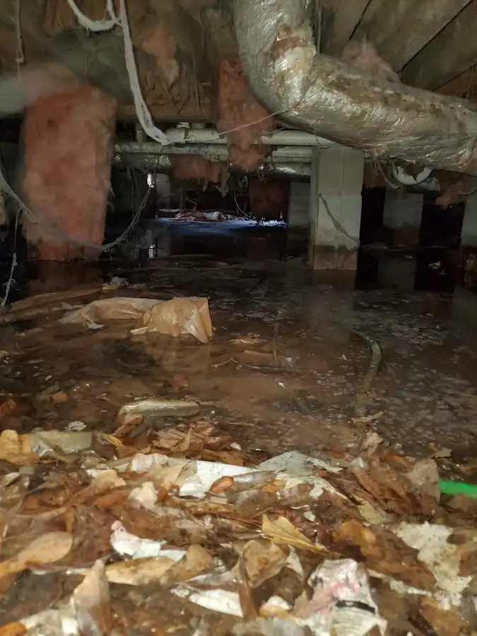 Crawl space flood assessment for Commercial Water Damage Restoration in Homosassa Springs