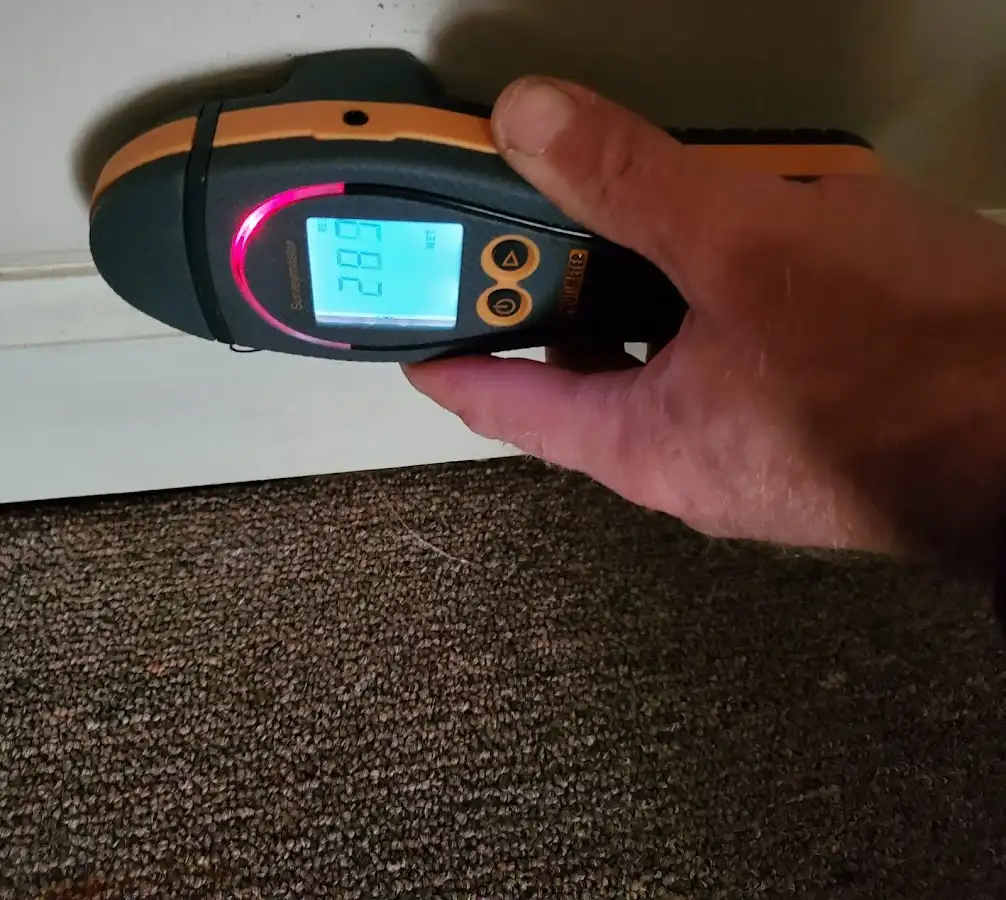 Moisture detection at baseboard during Burst Pipe Cleanup in Homosassa Springs