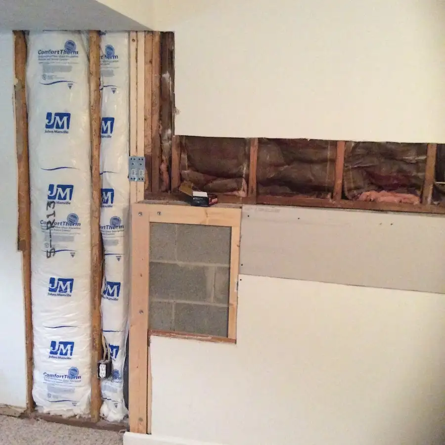 Wall insulation replacement during Basement Flood Cleanup in Homosassa Springs
